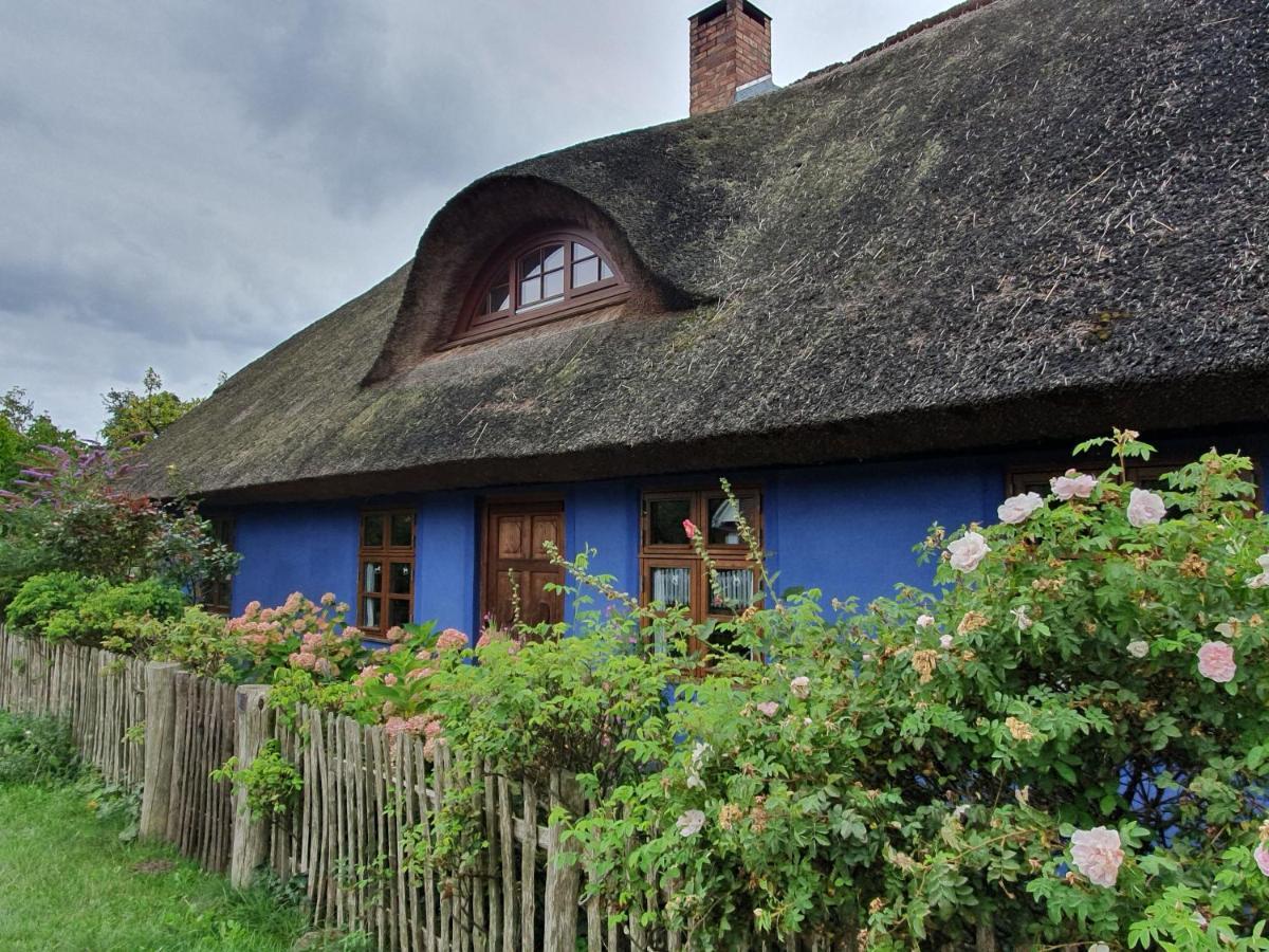 Ferienwohnung Ole Zinnowitz Extérieur photo